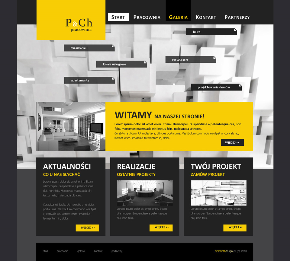 mammothdesign.pl - new media design